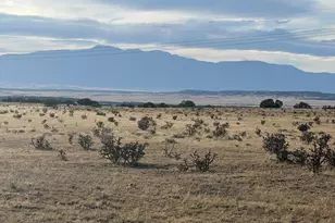 66A Turkey Ridge Ranch, Walsenburg, CO 81089 - Photo 1