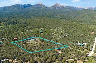 234 Bremer Rd, Howard, CO 81233 - Photo 5