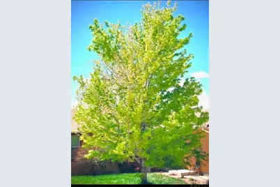 228 W Kyle Dr, Pueblo West, CO 81007 - Photo 57