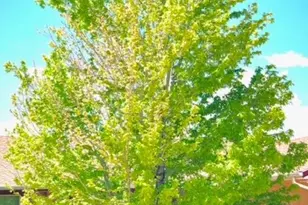 228 W Kyle Dr, Pueblo West, CO 81007 - Photo 57