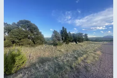 Tbd Black Diamond Park, Walsenburg, CO 81089 - Photo 9