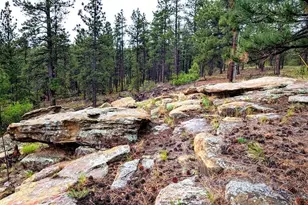 13563 Meadow Lark Dr, Weston, CO 81091 - Photo 21