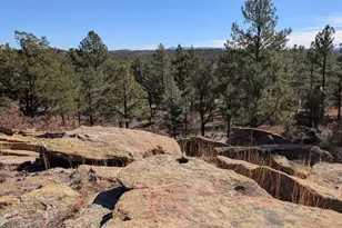 13563 Meadow Lark Dr, Weston, CO 81091 - Photo 25