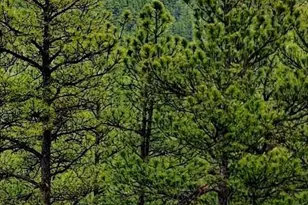 13563 Meadow Lark Dr, Weston, CO 81091 - Photo 23