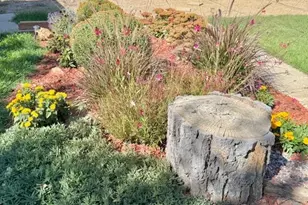 2211 N Elizabeth St, Pueblo, CO 81003 - Photo 3