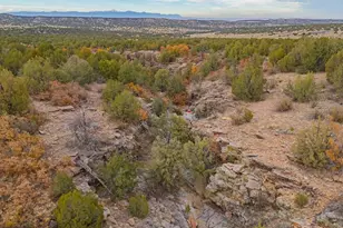 3115 Canyon Heights Rd, Pueblo, CO 81005 - Photo 45