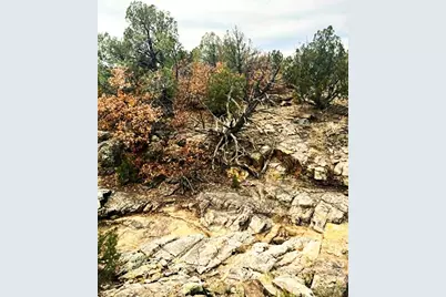 3115 Canyon Heights Rd, Pueblo, CO 81005 - Photo 47