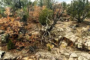 3115 Canyon Heights Rd, Pueblo, CO 81005 - Photo 47