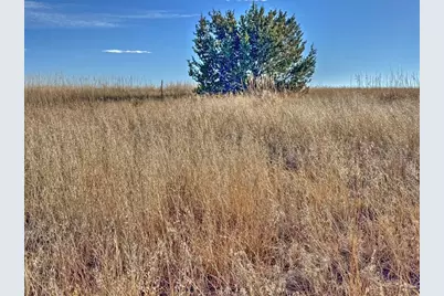 Tbd-L309 Morgan Place, Colorado City, CO 81019 - Photo 3