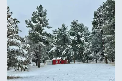 8695 Pine Dr, Beulah, CO 81023 - Photo 75