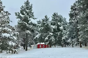 8695 Pine Dr, Beulah, CO 81023 - Photo 75