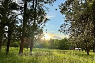 8695 Pine Dr, Beulah, CO 81023 - Photo 59