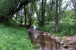 8695 Pine Dr, Beulah, CO 81023 - Photo 63