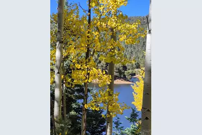 2087 Main St, Rye, CO 81069 - Photo 33