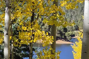 2087 Main St, Rye, CO 81069 - Photo 33