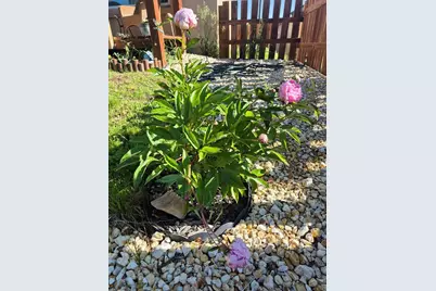 2087 Main St, Rye, CO 81069 - Photo 35