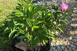 2087 Main St, Rye, CO 81069 - Photo 35