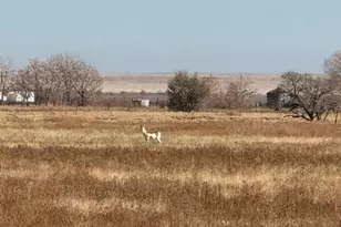 4475 17th Ln, Pueblo, CO 81063 - Photo 5