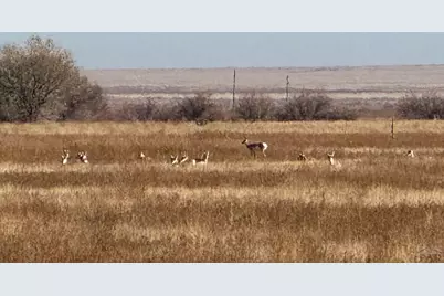 4475 17th Lane, Pueblo, CO 81063 - Photo 3