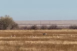 4475 17th Ln, Pueblo, CO 81063 - Photo 3