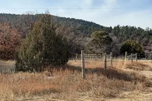 Tbd Ponderosa Dr, Colorado City, CO 81019 - Photo 1