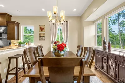 1325 Boldmere Ct, Monument, CO 80132 - Photo 11