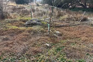 490 A St, Penrose, CO 81240 - Photo 7