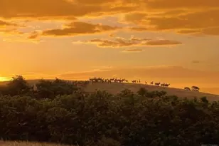 6813 Hwy 160, La Veta, CO 81055 - Photo 53