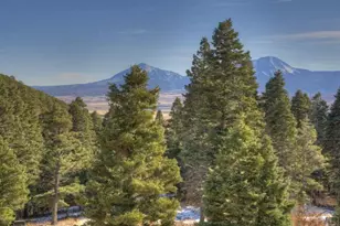 6813 Hwy 160, La Veta, CO 81055 - Photo 49