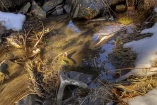 6813 Hwy 160, La Veta, CO 81055 - Photo 43