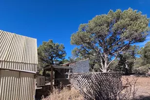 2825 K Path, Cotopaxi, CO 81223 - Photo 19