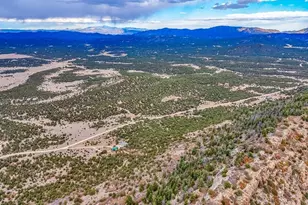 1350 Mitchell Mountain Rd, Westcliffe, CO 81252 - Photo 51