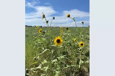 1644 N Calle Rosa Place, Pueblo West, CO 81007 - Photo 1