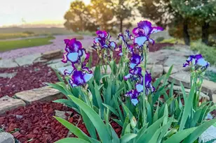 8010 County Road 53 1, Trinidad, CO 81082 - Photo 41