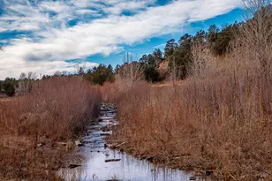 8010 County Road 53 1, Trinidad, CO 81082 - Photo 31