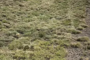 880 E Spaulding Ave, Pueblo West, CO 81007 - Photo 1