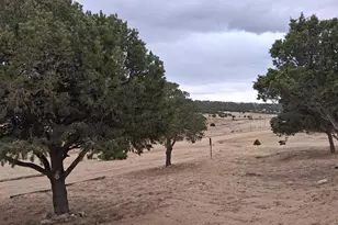 465 Ute Dr, Walsenburg, CO 81089 - Photo 27