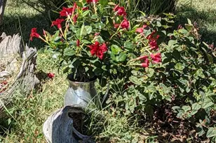 515 Henry Ave, Pueblo, CO 81005 - Photo 51