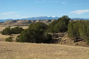 Lot 100 Narrow Gauge Way, Rye, CO 81069 - Photo 1