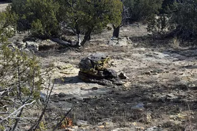 Lot 100 Narrow Gauge Way, Rye, CO 81069 - Photo 13