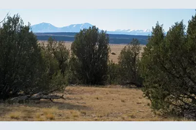 Lot 100 Narrow Gauge Way, Rye, CO 81069 - Photo 27