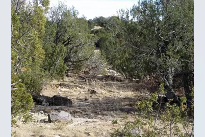 Lot 100 Narrow Gauge Way, Rye, CO 81069 - Photo 29