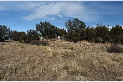 Lot 100 Narrow Gauge Way, Rye, CO 81069 - Photo 3
