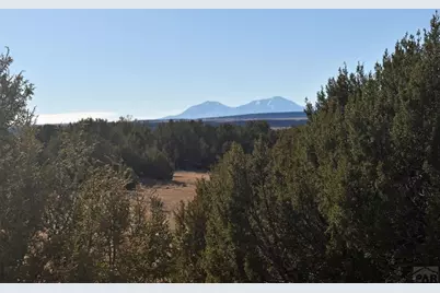 Lot 100 Narrow Gauge Way, Rye, CO 81069 - Photo 21