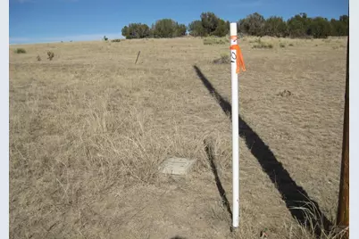 Lot 100 Narrow Gauge Way, Rye, CO 81069 - Photo 43