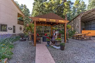 8262 William Rd, Rye, CO 81069 - Photo 57