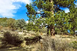 5855 Vine Mesa Ave, Beulah, CO 81023 - Photo 27