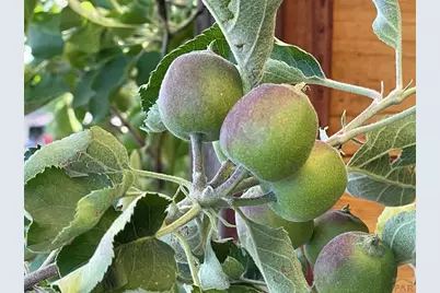 711 Minnequa Ave, Pueblo, CO 81004 - Photo 19