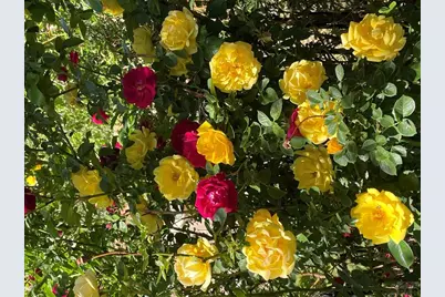 711 Minnequa Ave, Pueblo, CO 81004 - Photo 21