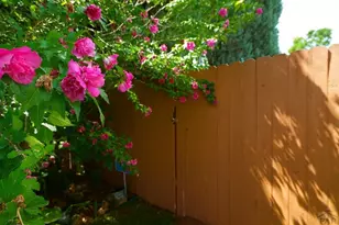 1933 Carteret Ave, Pueblo, CO 81004 - Photo 31